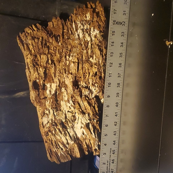 Very cool large holey wood piece for Terrarium, decor, art, crafts etc! - Picture 1 of 8